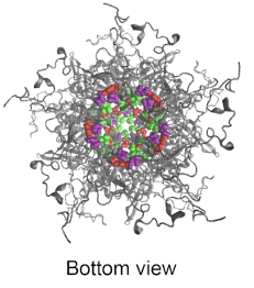 Systemic HER3 ligand-mimicking nanobioparticles